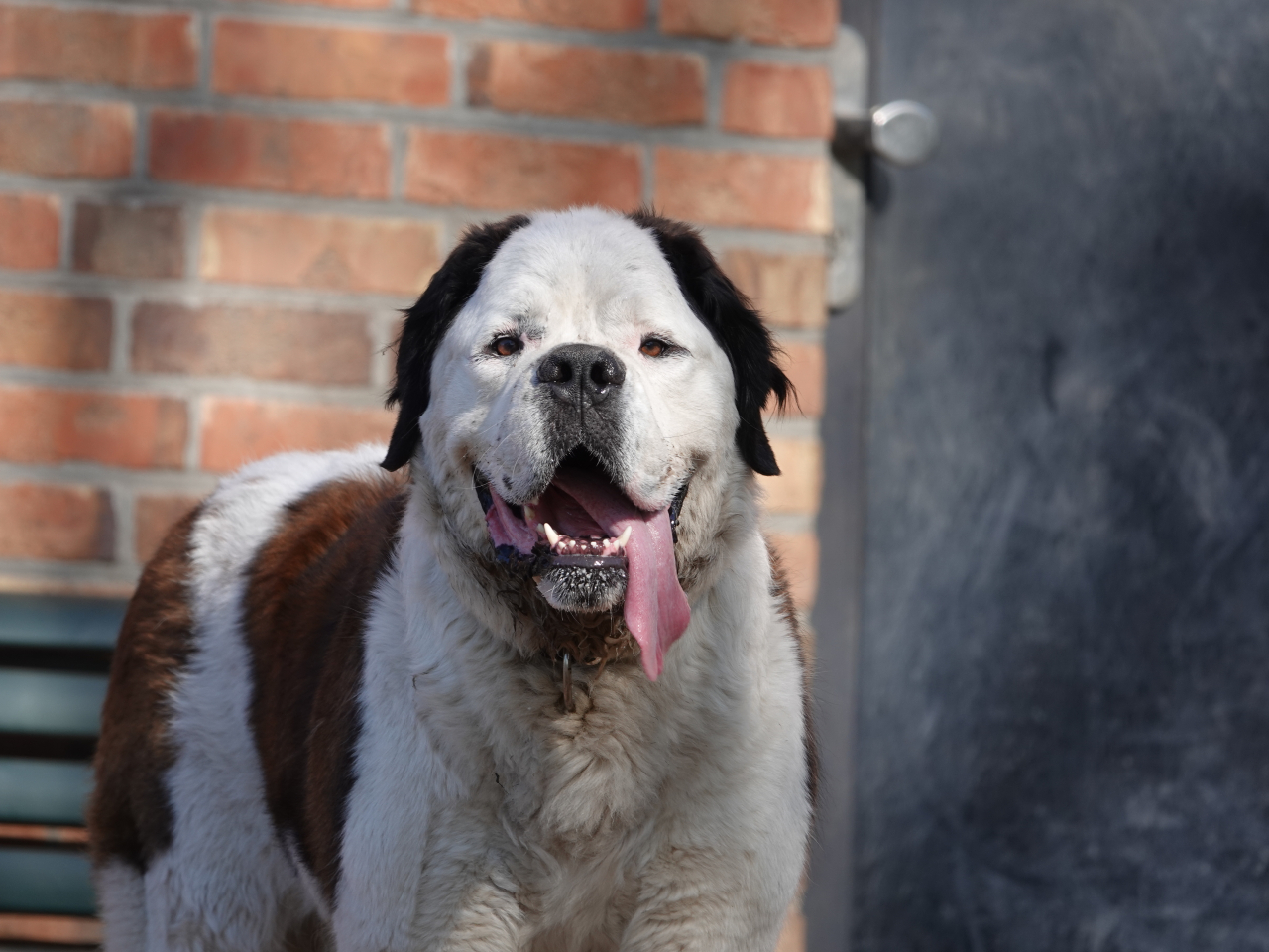 Profilbild: Willy