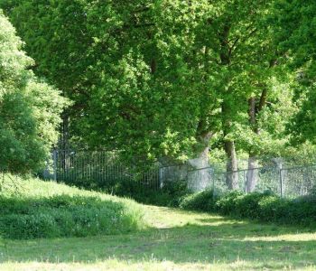 Bild: DSC01643