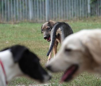 Bild: DSC07943