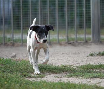 Bild: DSC07879