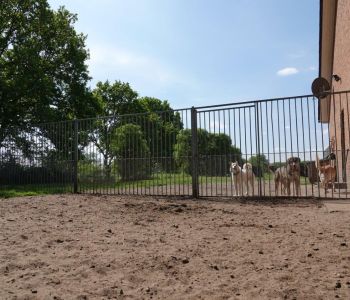 Bild: DSC01727