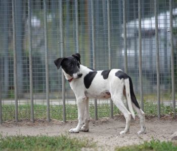 Bild: DSC07875