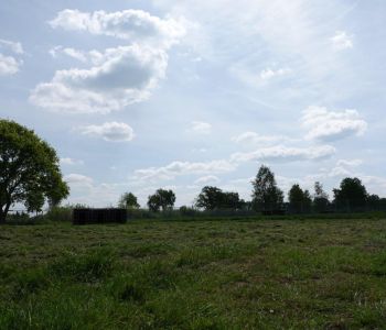 Bild: DSC01965