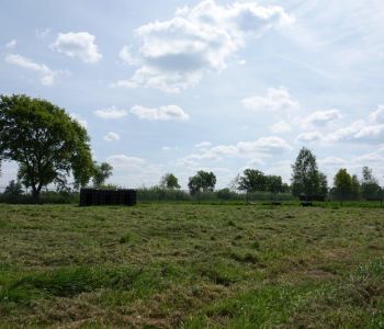 Bild: DSC01947